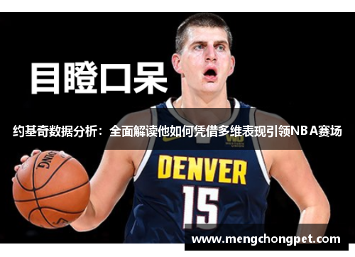 约基奇数据分析：全面解读他如何凭借多维表现引领NBA赛场