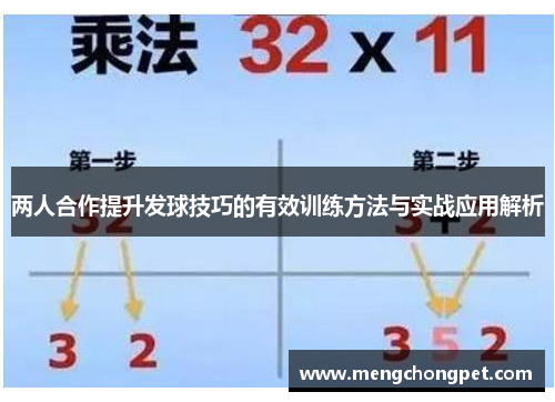 两人合作提升发球技巧的有效训练方法与实战应用解析